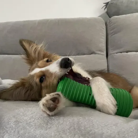 Coffret - Personnalisé à 100% Visuel 1 principal